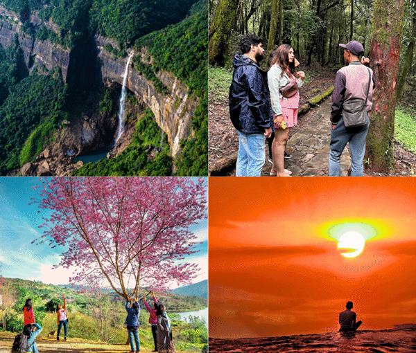 Tranquil, Tender, and Timeless – A trip to Meghalaya (Senior Citizen and Kid friendly)